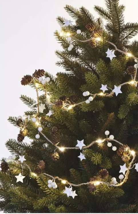 Girlanda vánoční 20 LED – Šišky, 1.7 m, 2x AA, vnitřní, teplá bílá (DCGW04)